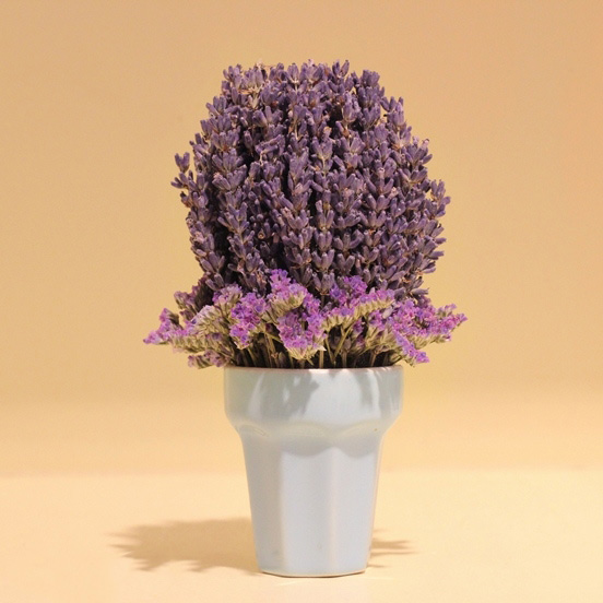 hoa lavender khô qt3