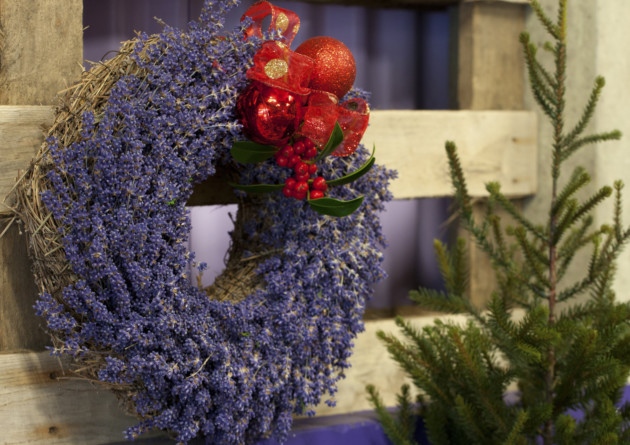 Có nên tặng hoa lavender khô vào Noel hay không?