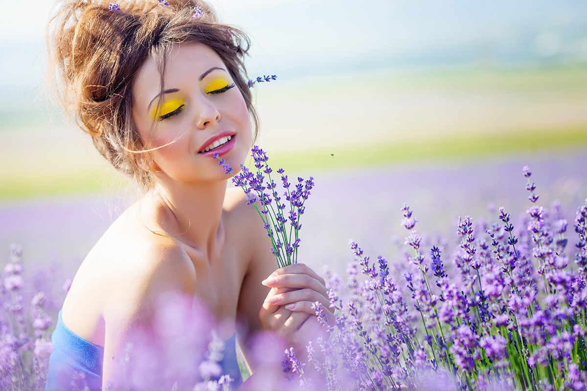 Tâm sự vui nghề bán sỉ hoa lavender