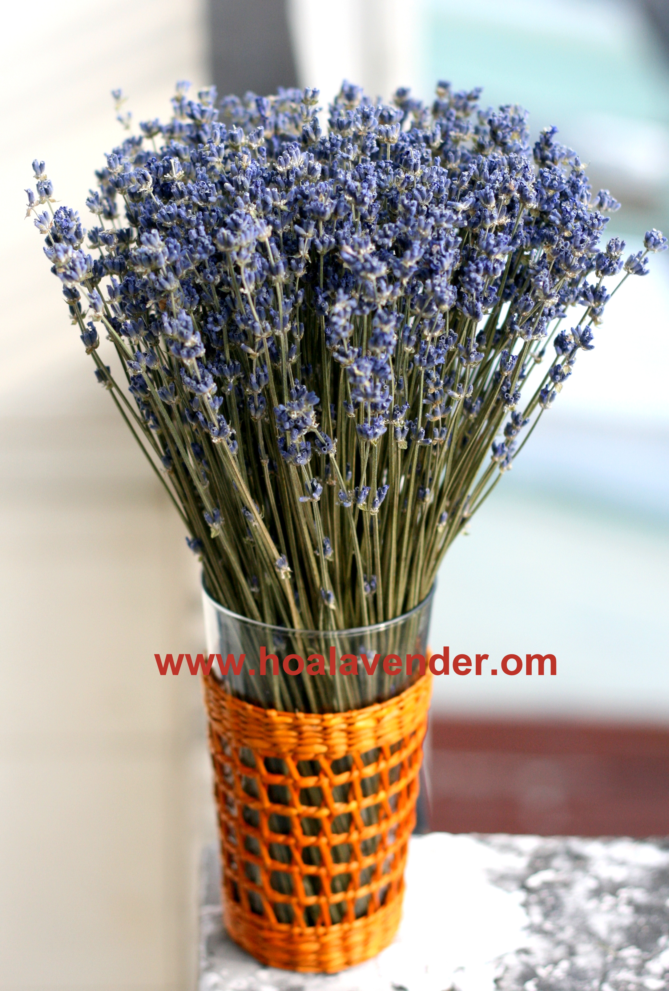 Có nên chọn hoa lavender khô TP.HCM làm quà tôn vinh thầy cô?