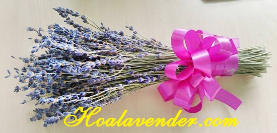 túi thơm lavender
