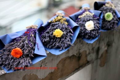 Mua hoa Lavender khô ở Tphcm với giá hấp dẫn