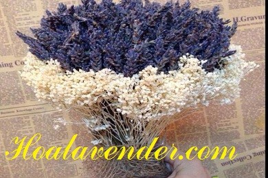 4 cách sử dụng hoa Lavender thanh lọc không gian