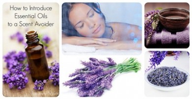 5 tác dụng bất ngờ của hoa Lavender trong mùa mưa lạnh
