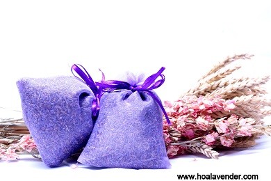 Bật mí cách ghi điểm trong ngày Valentine với hoa lavender khô