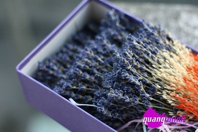 Có hoa lavender khô: Quà ngày 8 – 3 thật dễ lựa chọn