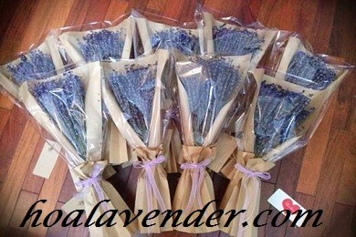 Gợi ý điểm mua hoa lavender khô tphcm giá rẻ bèo