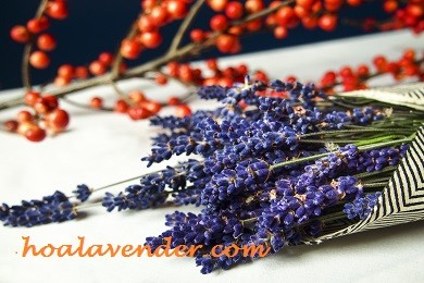 Hoa lavender khô chưng Tết phong cách chơi hoa khác lạ của nhiều gia đình