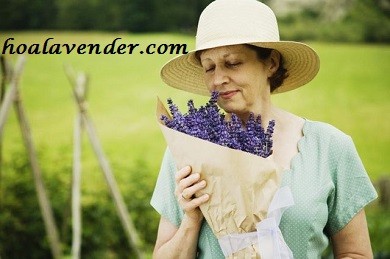 Hoa lavender khô – Thay lời cho mọi yêu thương dành tặng mẹ ngày Quốc tế Phụ nữ