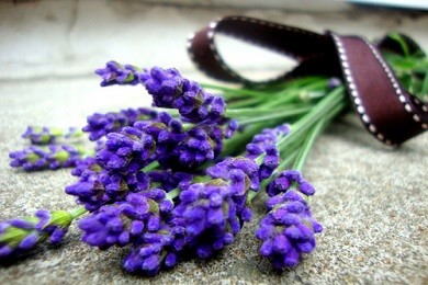 Ngất ngây với các mẫu hoa lavender khô cho Quốc tế Phụ nữ