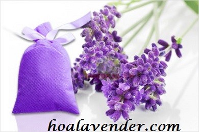 Tự khâu túi thơm hoa lavender khô làm quà ngày 8 – 3