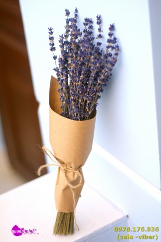 Bó hoa lavender khô 100 cành