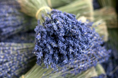 Bó hoa lavender khô nhập khẩu