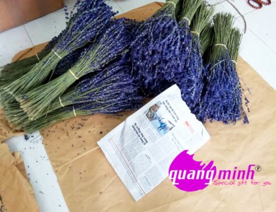 Đột nhập nơi bán hoa lavender khô tặng 20 – 10