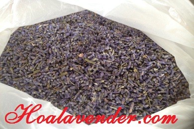 Hé lộ một số công dụng hay ho của nụ hoa Lavender khô – P2