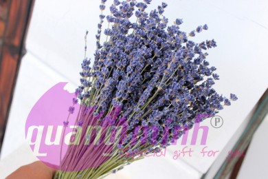 Hoa lavender khô giá rẻ hàng chuẩn Pháp