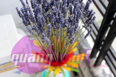 Hoa lavender khô khai xuân mậu tuất năm 2018