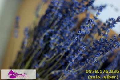Hoa lavender khô loài hoa tuyệt vời cho ngày cưới