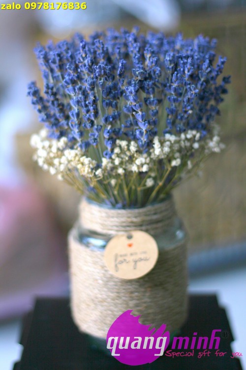 Hộp hoa lavender khô trong suốt
