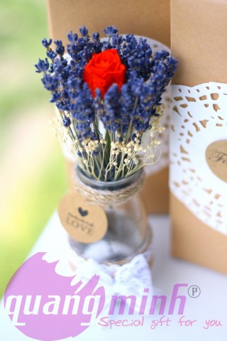 Lọ hoa lavender hoa hồng vĩnh cửu Mini (ONLY YOU)