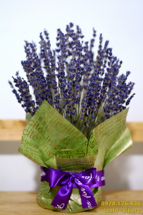 Lọ hoa lavender khô để bàn (giấy báo xanh)