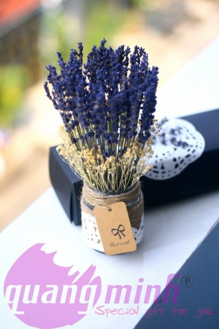 Lọ hoa lavender khô tặng MINI