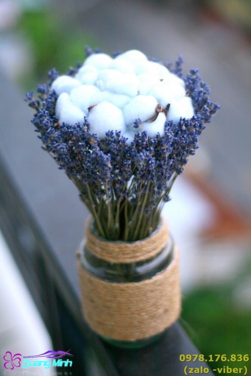 Lọ hoa lavender khô viền hoa gòn
