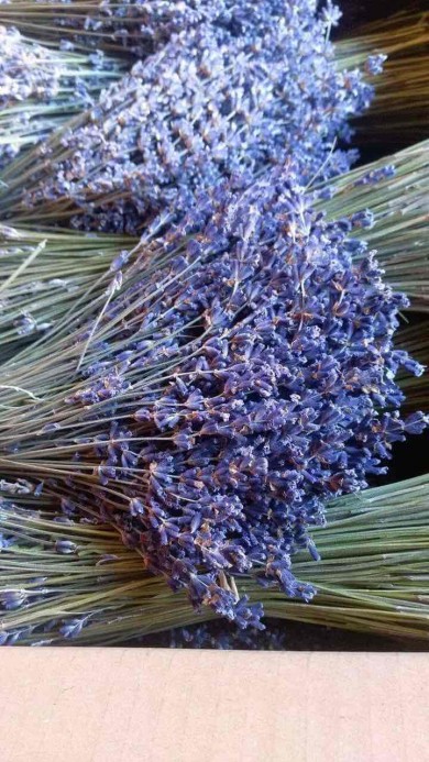 Lý do để chọn mua hoa lavender khô tại Quang Minh shop