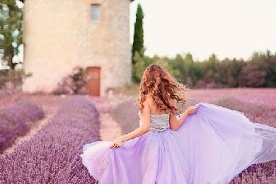 Mách bạn cách chọn hoa lavender tặng ngày 20-10 cho bạn gái vô cùng ấn tượng