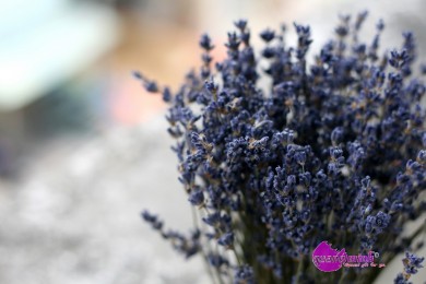 Mua hoa lavender khô giá rẻ ở đâu ?