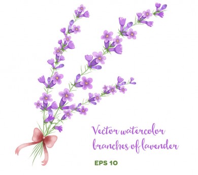 Mua hoa lavender khô thể hiện sự chung thủy trong Lễ Tình Nhân