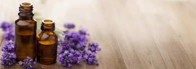 Mua hoa lavender khô ý nghĩa tại tphcm