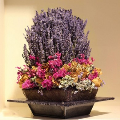 Nguồn mua bán sỉ hoa Lavender chất lượng?