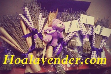 Những khó khăn khi bắt đầu kinh doanh hoa Lavender tại Tphcm