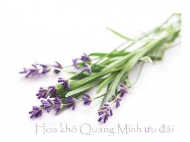 Những ưu đãi không thể bỏ qua khi mua hoa lavender khô tặng 20 – 10
