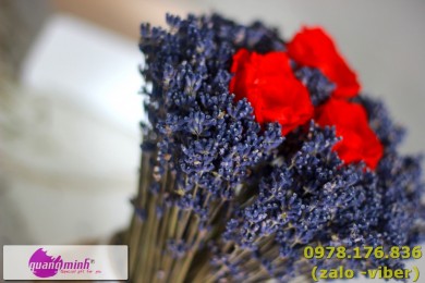 Shop bán hoa lavender khô giá rẻ Quang Minh