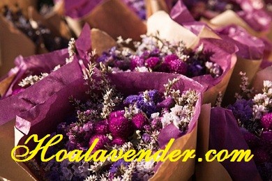 Ưu điểm nổi bật khi chọn địa chỉ bán sỉ hoa Lavender uy tín
